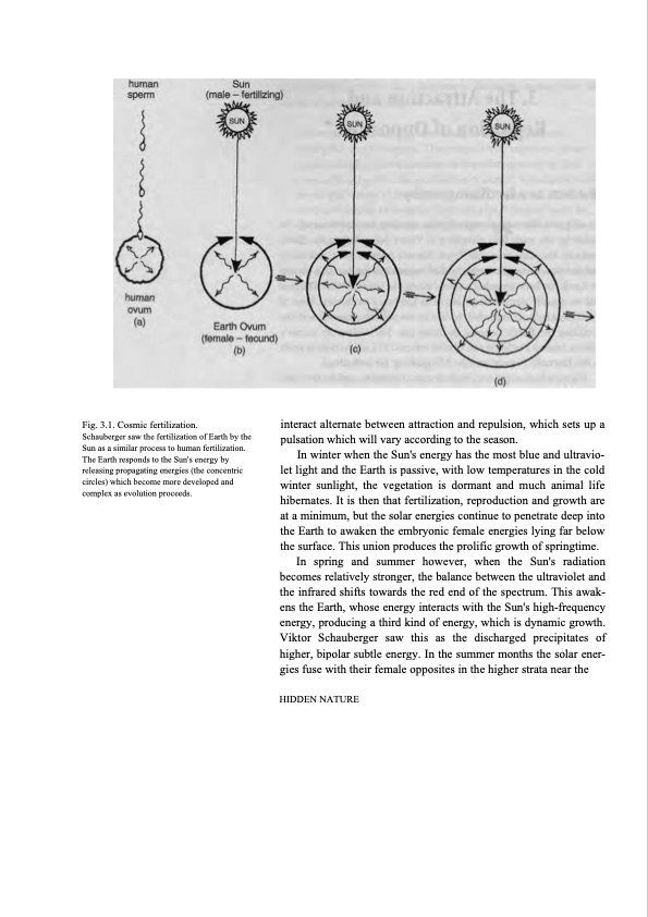 hidden-nature-insights-viktor-schauberger-042