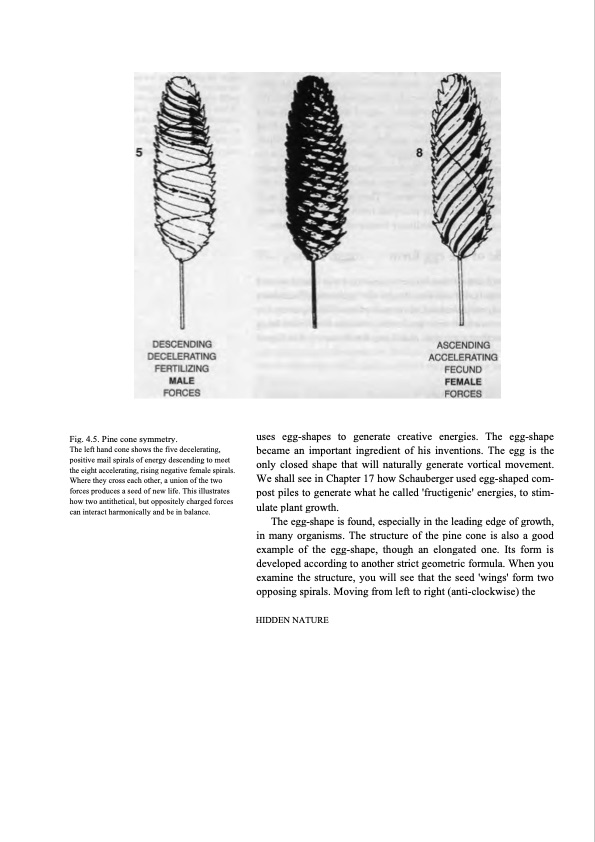 hidden-nature-insights-viktor-schauberger-060