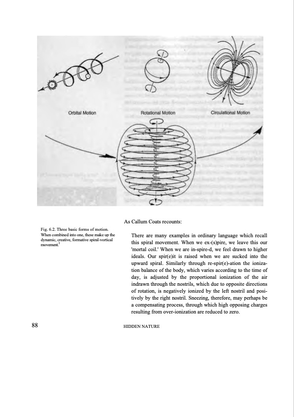 hidden-nature-insights-viktor-schauberger-078