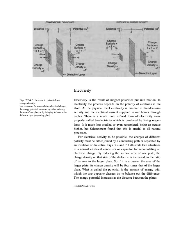 hidden-nature-insights-viktor-schauberger-085