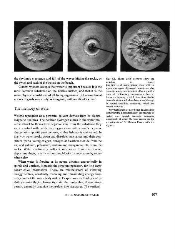 hidden-nature-insights-viktor-schauberger-094