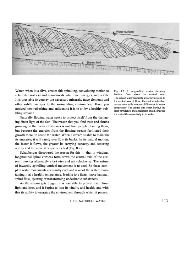 hidden-nature-insights-viktor-schauberger-100