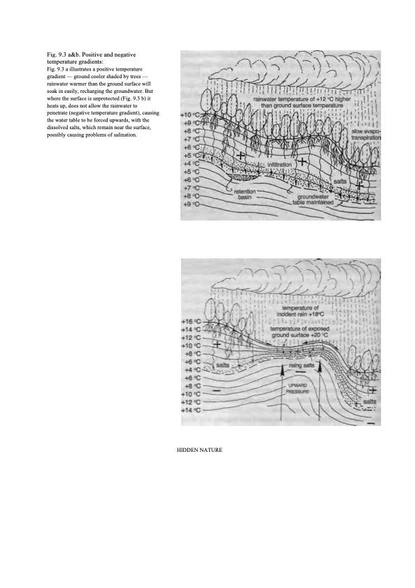 hidden-nature-insights-viktor-schauberger-109
