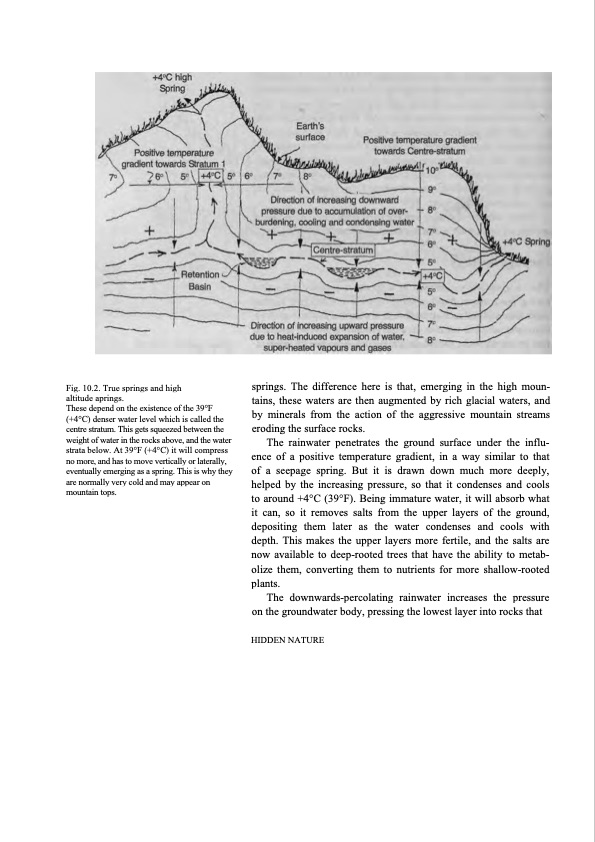 hidden-nature-insights-viktor-schauberger-116