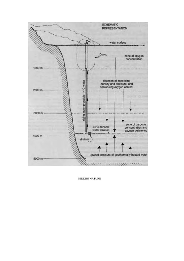 hidden-nature-insights-viktor-schauberger-118
