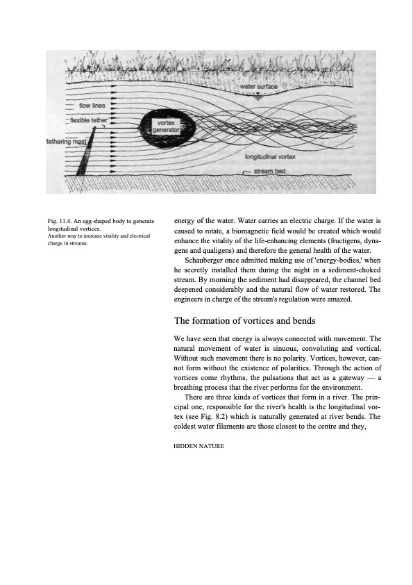 hidden-nature-insights-viktor-schauberger-127