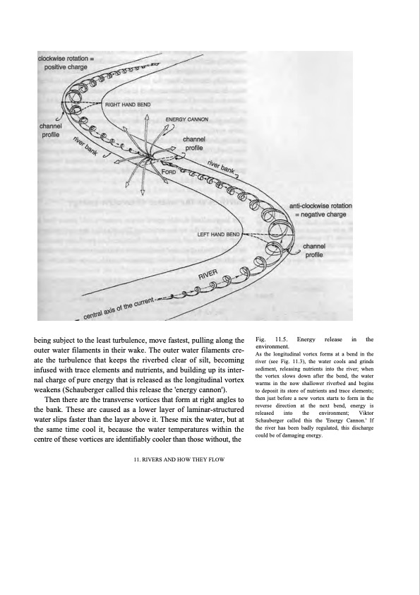 hidden-nature-insights-viktor-schauberger-128