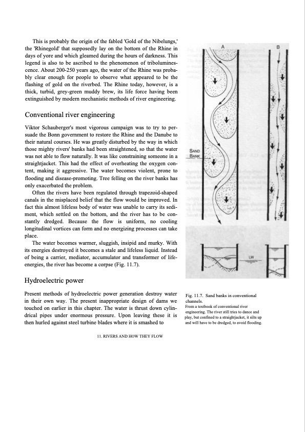 hidden-nature-insights-viktor-schauberger-132