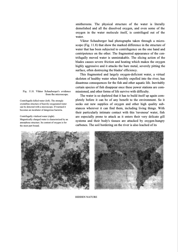 hidden-nature-insights-viktor-schauberger-133