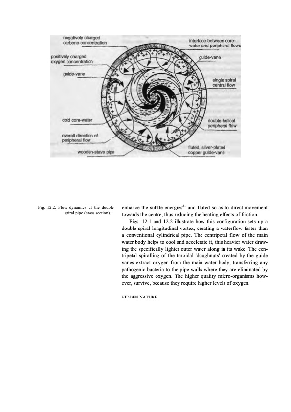 hidden-nature-insights-viktor-schauberger-142