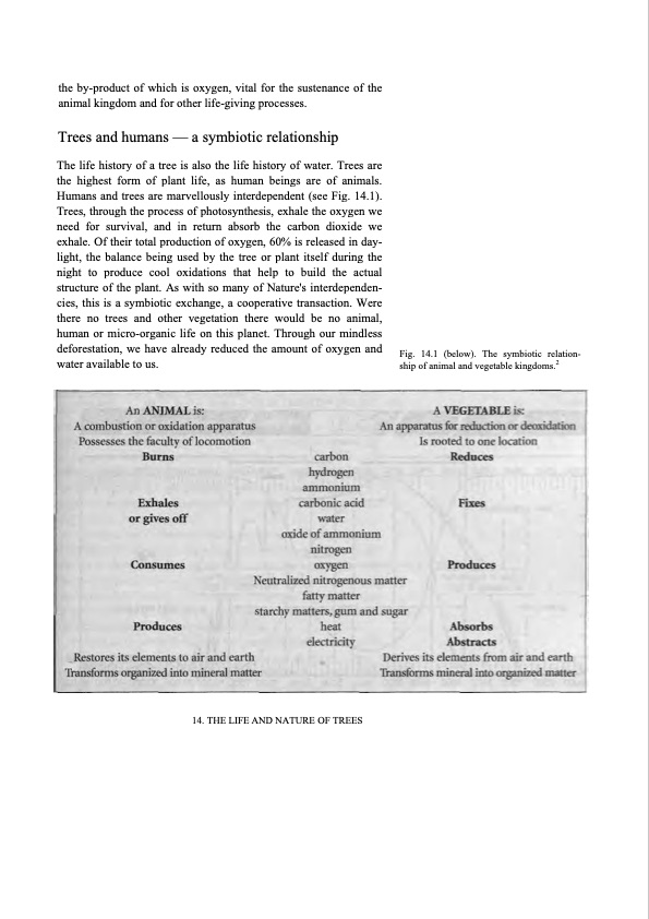 hidden-nature-insights-viktor-schauberger-164