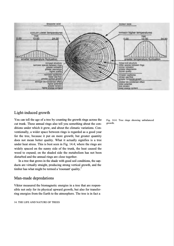 hidden-nature-insights-viktor-schauberger-172