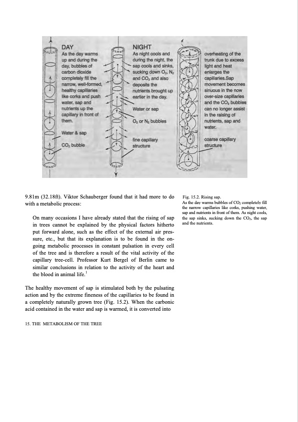 hidden-nature-insights-viktor-schauberger-182