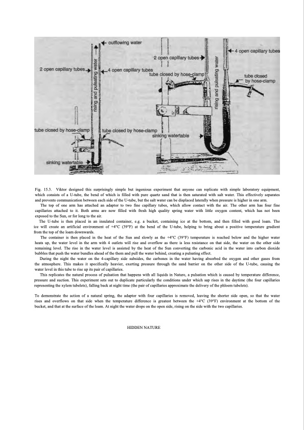 hidden-nature-insights-viktor-schauberger-183