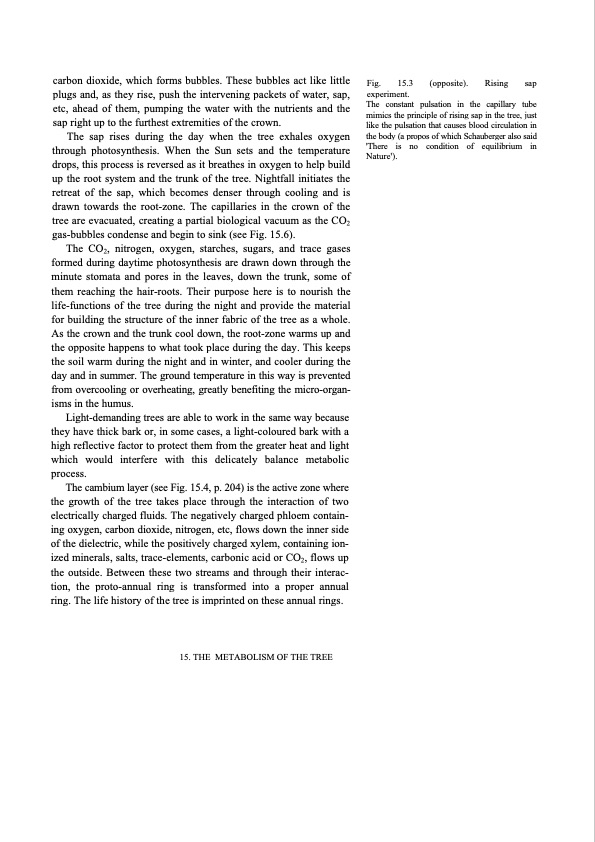 hidden-nature-insights-viktor-schauberger-184