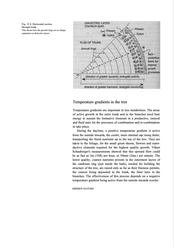 hidden-nature-insights-viktor-schauberger-185