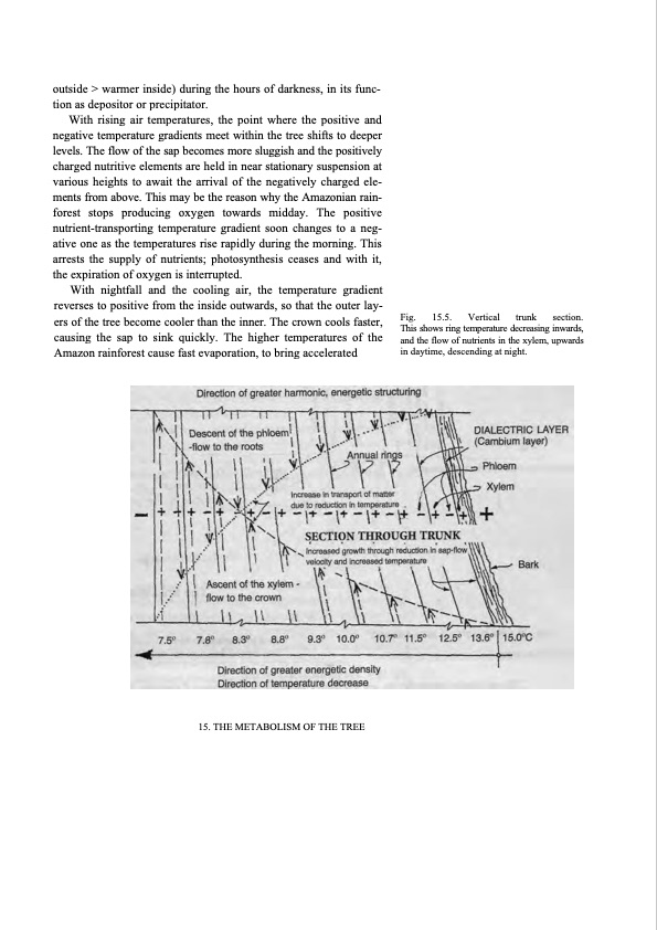 hidden-nature-insights-viktor-schauberger-186