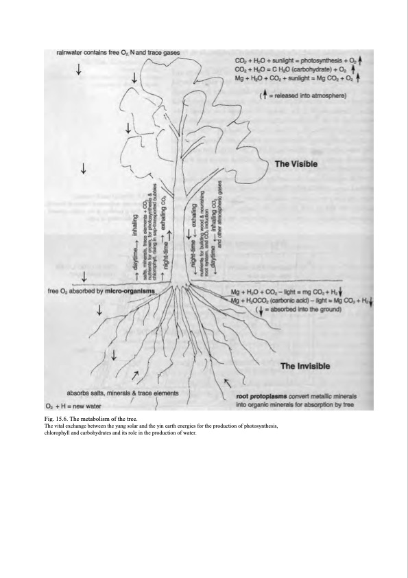 hidden-nature-insights-viktor-schauberger-187