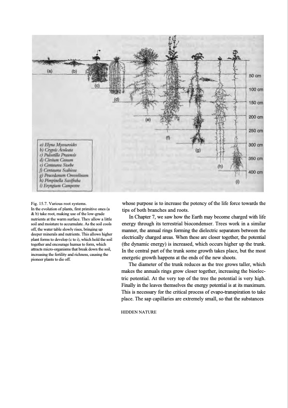 hidden-nature-insights-viktor-schauberger-189