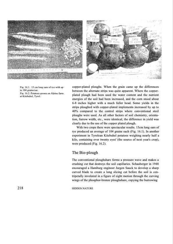 hidden-nature-insights-viktor-schauberger-197