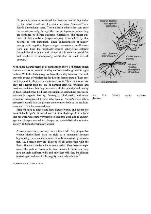 hidden-nature-insights-viktor-schauberger-215
