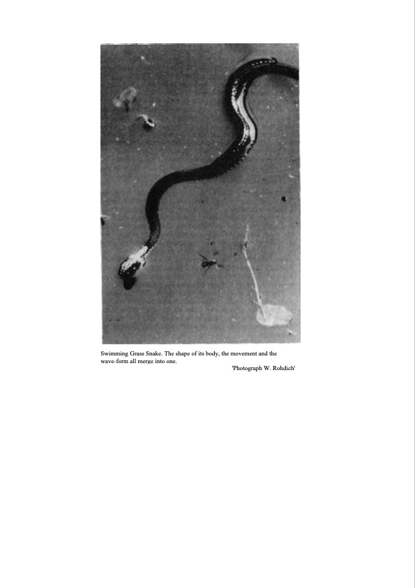 living-water-natural-science-021