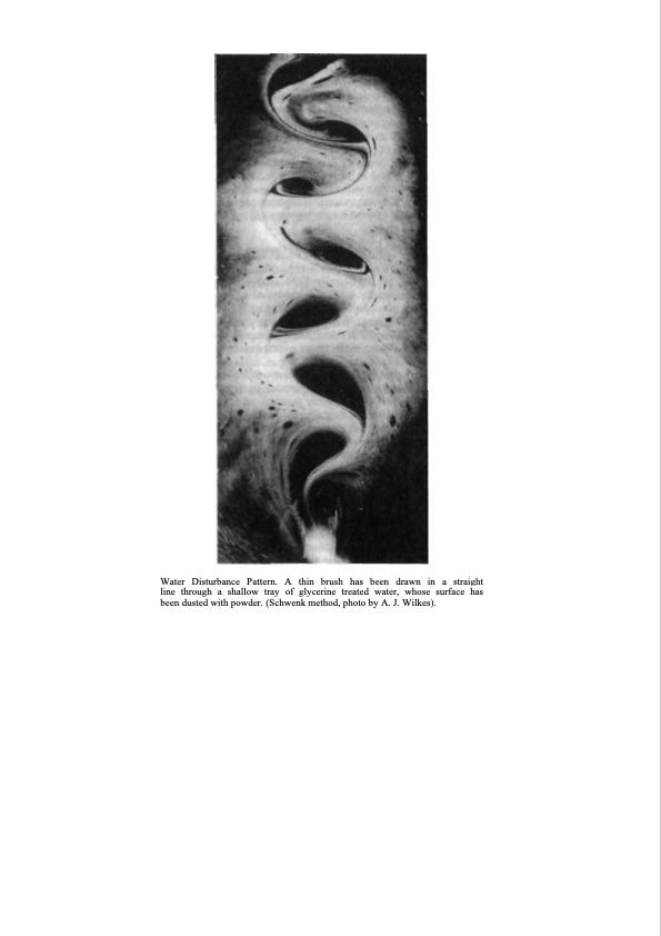 living-water-natural-science-030