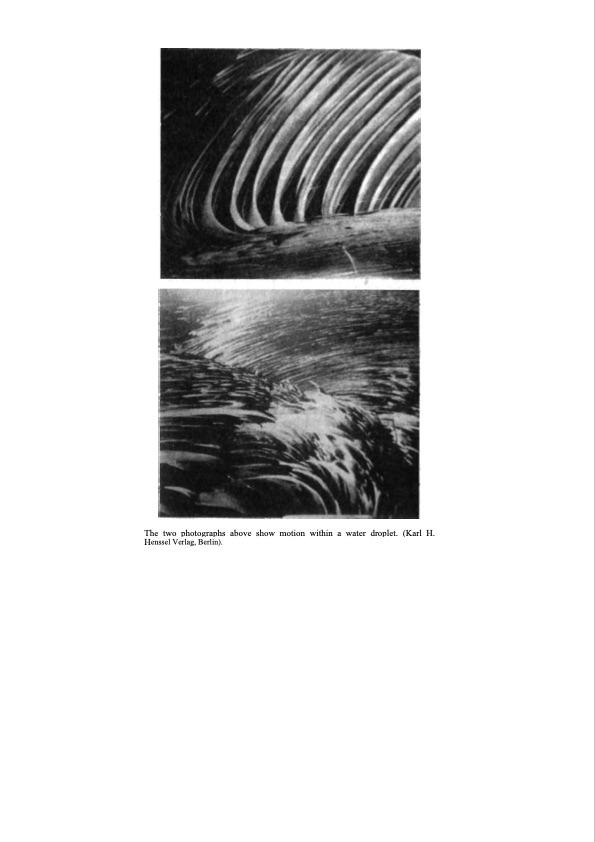 living-water-natural-science-046