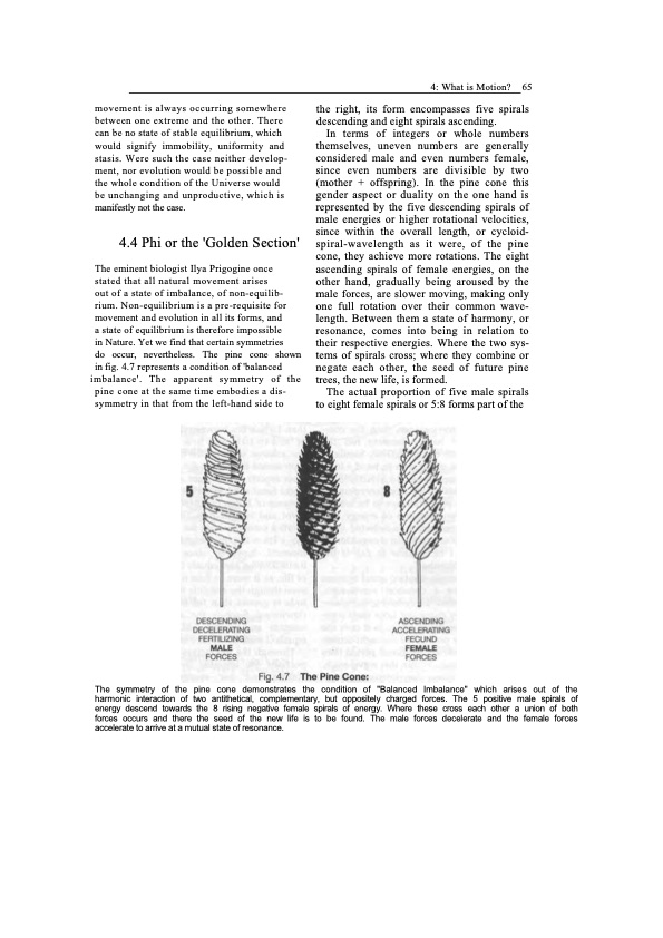 viktor-schauberger-work-explained-071