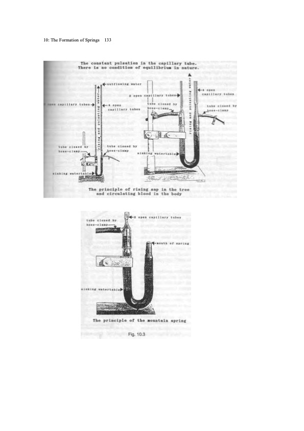 viktor-schauberger-work-explained-139