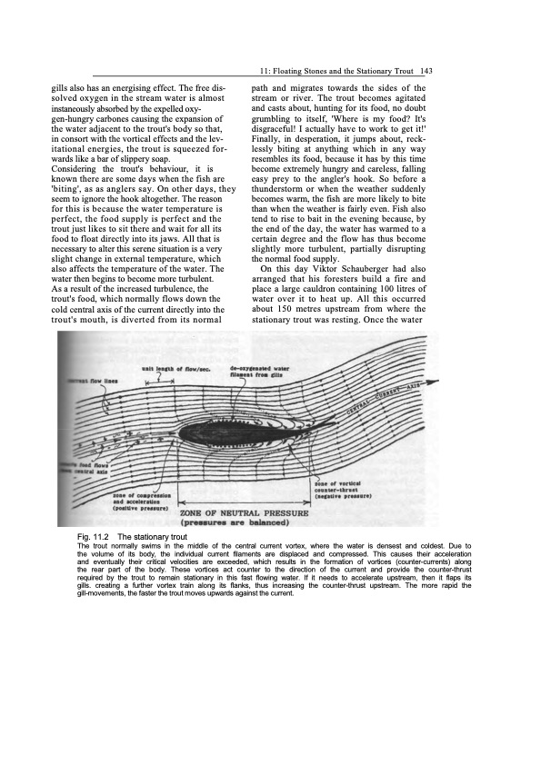 viktor-schauberger-work-explained-149