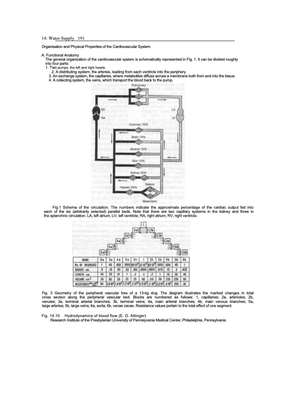 viktor-schauberger-work-explained-197
