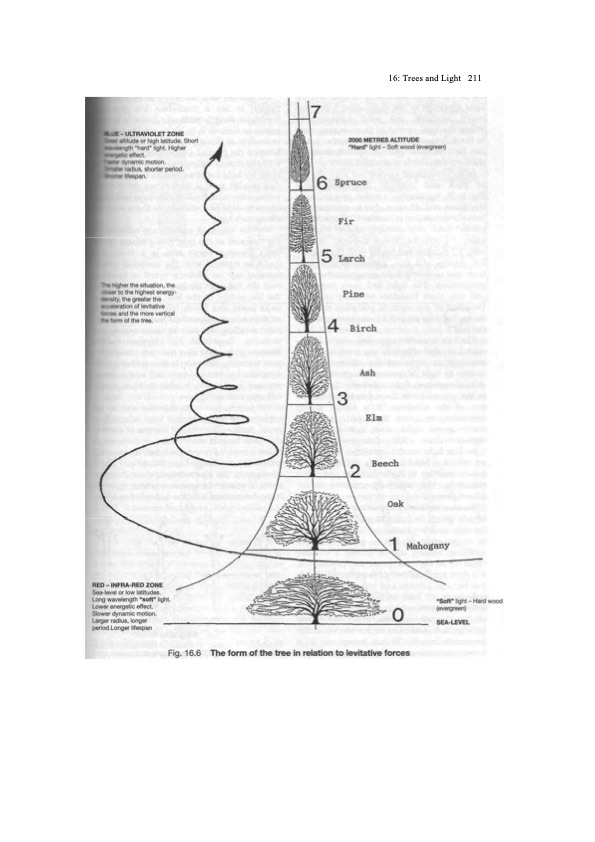 viktor-schauberger-work-explained-217