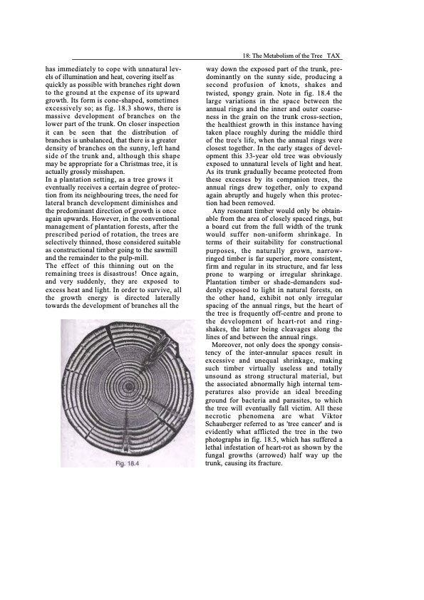 viktor-schauberger-work-explained-247