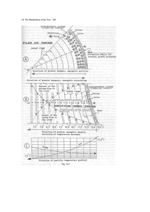 viktor-schauberger-work-explained-251