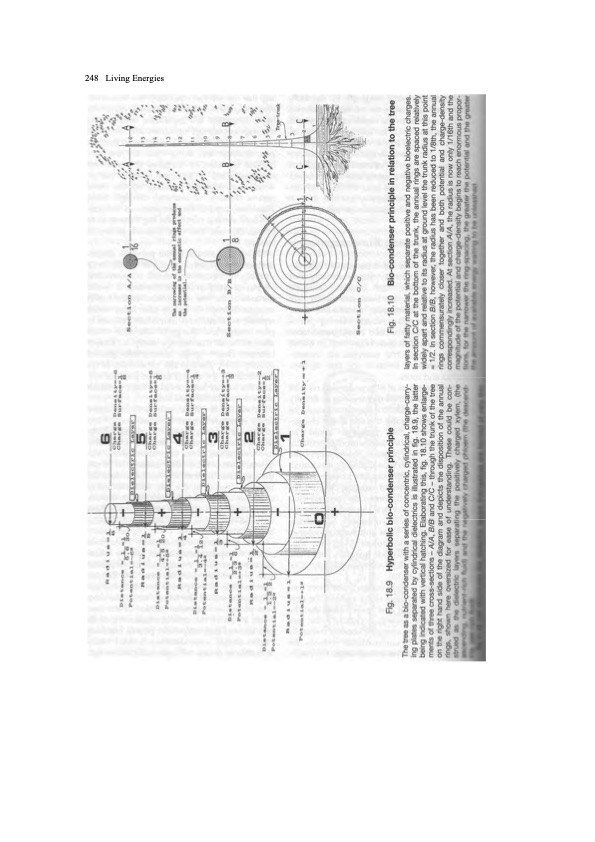 viktor-schauberger-work-explained-254