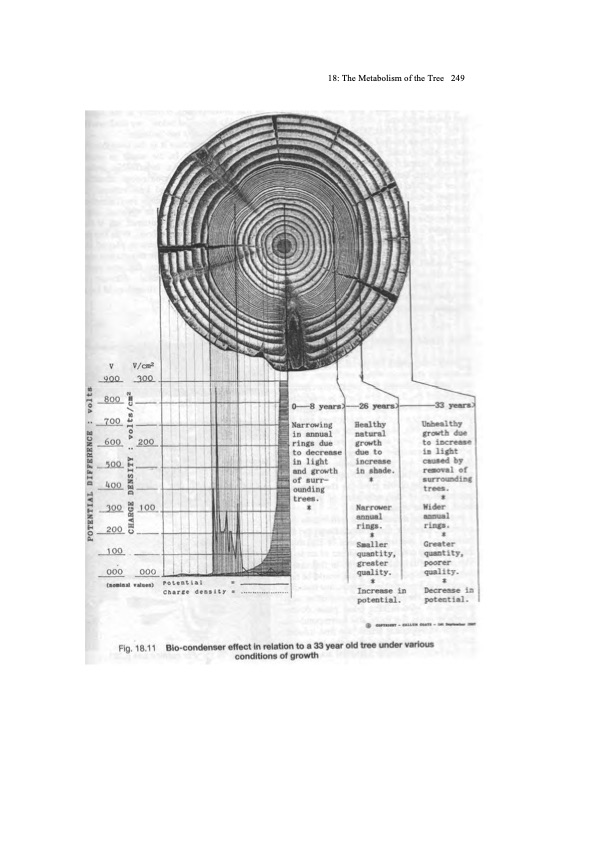 viktor-schauberger-work-explained-255