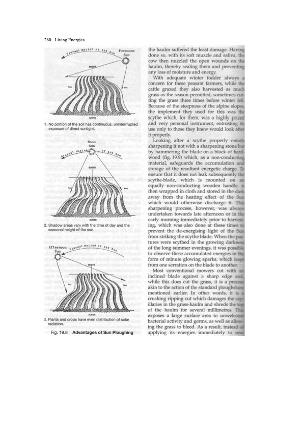 viktor-schauberger-work-explained-266