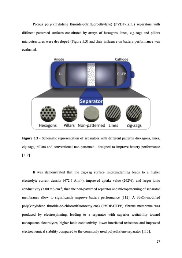 synthetic-polymer-based-membrane-lithium-ion-027