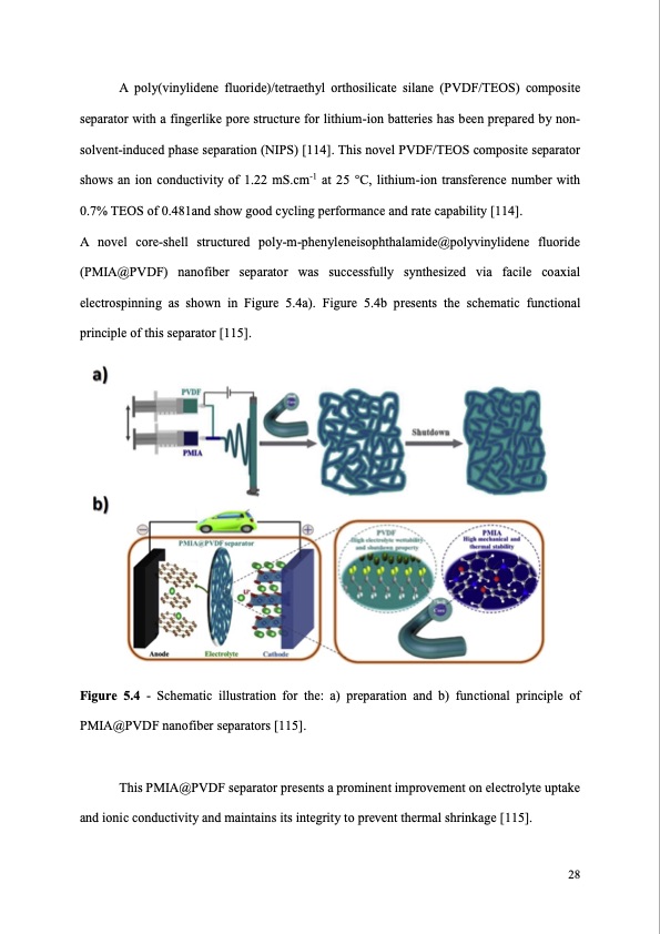 synthetic-polymer-based-membrane-lithium-ion-028