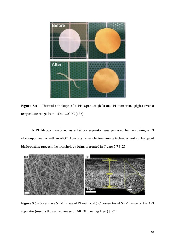 synthetic-polymer-based-membrane-lithium-ion-030